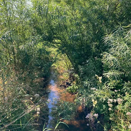 Lerbaek Naturpark 度假居 腓特烈港