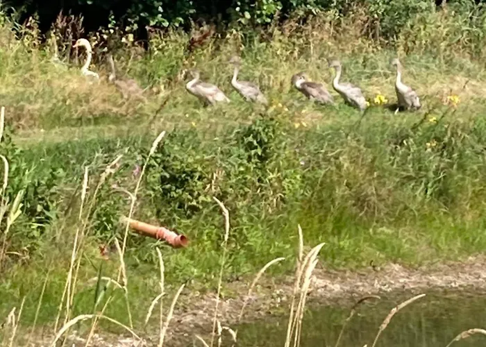 Lerbaek Naturpark *