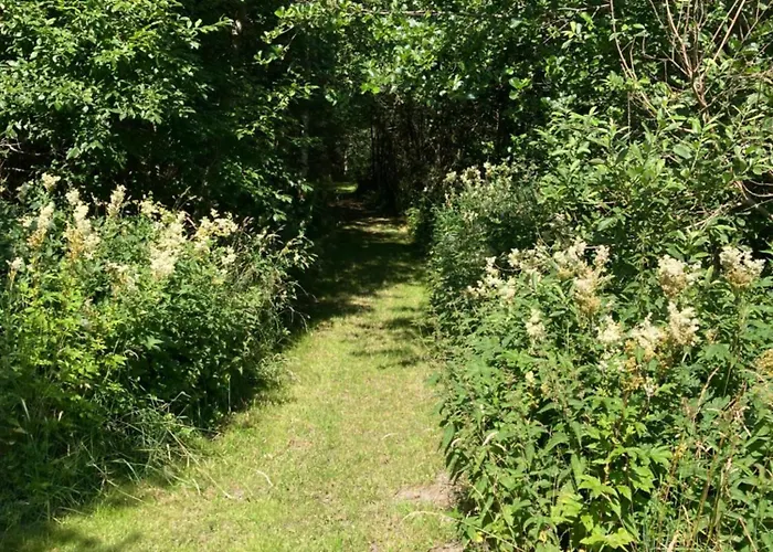 Dom wakacyjny Lerbaek Naturpark Frederikshavn